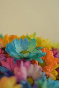 couleurs